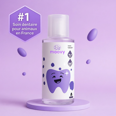 Bain de bouche Moovy Dental+