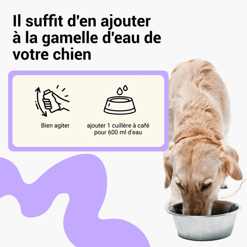 Bain de bouche Moovy Dental+